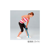 エバニュー リングバンド ライト ETA138 1枚 63-2973-84（直送品）