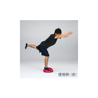 エバニュー バランスクッション 青 ETB616-700 1個 63-2974-99（直送品）