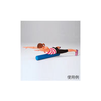 エバニュー リラクフォームローラー ETB277 1本 63-2974-34（直送品）