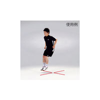 エバニュー フラットバー 3色12本組 ETE120 1組 63-2975-71（直送品）