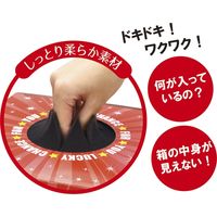 ササガワ 抽選箱用 目隠しーと 大 37-7917 1袋(1枚入)