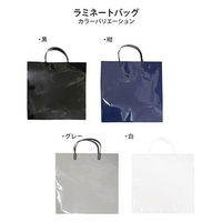 エヒメ紙工 ラミネートバッグ小 紺 PPS-B 10個