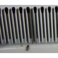 ソルドジャパン 電動シラミ除去櫛 ライスプロ LP-0001（直送品）