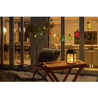 タカショー ソーラーパーティーライト 10球 カラー LGI-PT10CL（直送品）