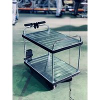 ダンディアシスター DA-T2-AST 花岡車輌（直送品）