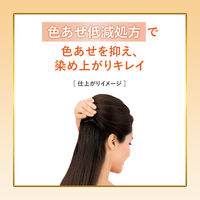 ホーユー ビゲン 香りのヘアカラー 乳液 3NA 761792 1ケース(27個)（直送品）
