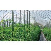 積水樹脂 イボ竹Φ8mm×0.75m 5P 4971715003389 1セット(1束(5本)×10)