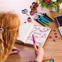 トロイカジャパン トロイカバレットジャーナル TR-BTJ36/BR 1個（直送品）