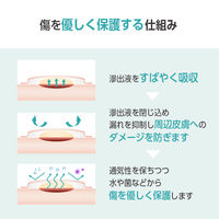 オプティフォームジェントルEX MSCEX33EP 1箱（10枚入） ニトムズ