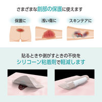 オプティフォームジェントルEX MSCEX44EP 1箱（10枚入） ニトムズ