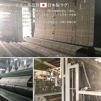 萩原 ボルグ タフトラグ 洗濯可 1300×1850mm コーラル 270042054 1枚（直送品）