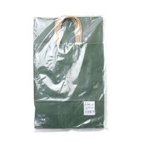 ササガワ 手提げバッグ 10Pエメラルド 小 50-6108 1包 (10枚袋入)