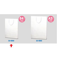 ササガワ 手提げバッグ 額縁用 B4 50-6800 1包 (10枚袋入)