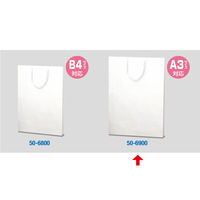 ササガワ 手提げバッグ 額縁用 A3 50-6900 1包 (10枚袋入)