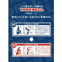 シービージャパン 踏み台 足置き 耐荷重100kg トイレ トレーニング サポート 4573306862758-2 1セット(1個×2)