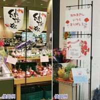 アルファ グリップポップスタンド(フロアスタンド) KB8-0228 1台（直送品）