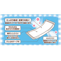 オオサキメディカル お産用パッドＳｗｅｅｔ　Ｍサイズ　 00083620 1セット（10袋）