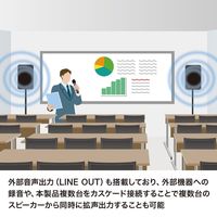 拡声器　ワイヤレスマイク　メガホン　スピーカーマイク　ハンドマイク型　MM-SPAMP10　サンワサプライ　1個（直送品）