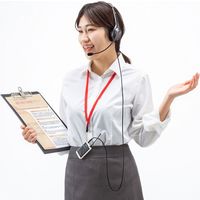 サンワサプライ ワイヤレスガイド用ヘッドセット 親機用 MM-WGS1T用 MM-WGS1T-HS2 1個（直送品）