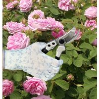 ジャステム パワーグリップガーデングローブ PGN-225C 1セット