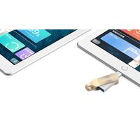 ADAM elements ADAM iKlips DUO+ Lightning USBメモリ 128GB ゴールド（直送品）