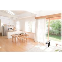 エスケイジャパン 冷風機リモコン付き2.6kW SKJ-RS26PA 1台（直送品）