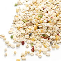 リーフ 小動物の食事 国産 15種の雑穀ミックス おやつ 2250002120765 1個（直送品）