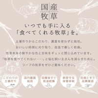 リーフ 令和5年産 国産 やみつき大麦若葉 100g 213159 1個（直送品）