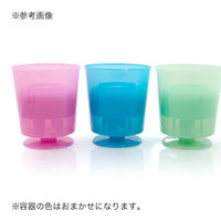 リーフ 国産 うさぎの食事 プレミアム 1.2kg 全成長段階用 たんぽぽ水耕栽培セット 231550 1セット（直送品）