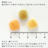 リーフ 国産 3色フルーツミックスボーロ 1kg 2250002316908 1個（直送品）