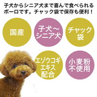 リーフ 国産 さつまいもボーロ 1kg 2250002316915 1個（直送品）