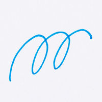 寺西化学工業 水性ペン マジック ラッションペンNo.300 空 M300-T11 10本