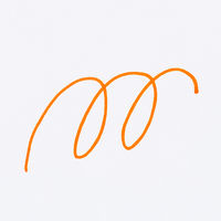 寺西化学工業 水性ペン マジック ラッションペンNo.300 橙 M300-T7 10本