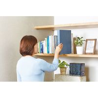 キングジム 自分まとめファイル AM2525 1個