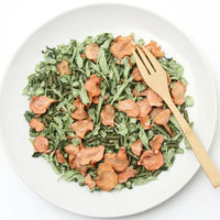 リーフ 国産 チンチラの食事プレミアム 1.2kg 2250003203498 1セット（直送品）