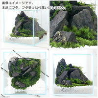 Aqullo スーパークリア 苔テラリウム アクロ２０Ｓ（２０×２０×２０） 334566 1個（直送品）