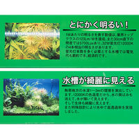 ラボック KSS LEDー12000K 900 4533760531270 1個（直送品）