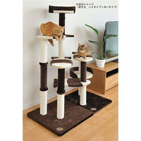 ペティオ 猫のおあそびポール お魚ファミリー ロータイプ キャットタワー 4903588237126 1個（直送品）