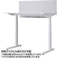 サンワサプライ デスクパーティション クランプ式 幅600×奥行55×高さ410mm フロスト調 SPT-DP60 1個（直送品）