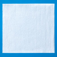 メディコムジャパン メディコム バイタル不織布ガーゼ 30X30cm JNW310110 1包(200枚入) オリジナル