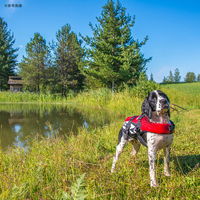 新東亜交易 イージードッグ DFDスタンダード L レッド 大型犬用 4959283055978 1個（直送品）