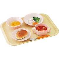 三信化工 エスタートレイ スナック SE-10N-FPU 1枚（直送品）