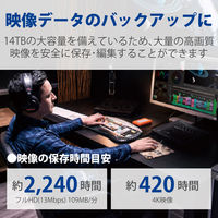 HDD 外付け 14TB d2 Professional STHA14000800 LaCie 1個（直送品）