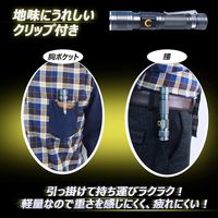 グッド・グッズ LED懐中電灯 ED25-S 1個