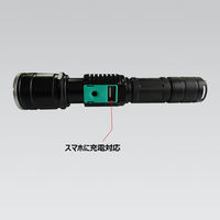 グッド・グッズ LED懐中電灯 ED68　1個（直送品）