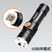 グッド・グッズ LED懐中電灯 ES-20U 1個