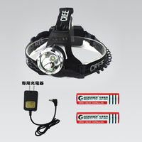 グッド・グッズ LEDヘッドライト HL80 1個