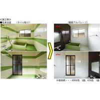 【建築資材・浴室用床シート】フクビ化学工業 壁面化粧パネル 鏡面アルパレージ　KSA AP2KSA 1梱包（2枚入）（直送品）