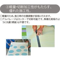 【建築資材・浴室用床シート】フクビ化学工業 樹脂化粧パネル アルパレージ 910mm×2450mm　WW AP2WW 1梱包（2枚入）（直送品）
