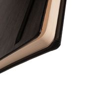 ハードカバーノート クオバディス アバナ　ノート１６ｘ２４ｃｍ　横罫 オレンジ １冊（直送品）